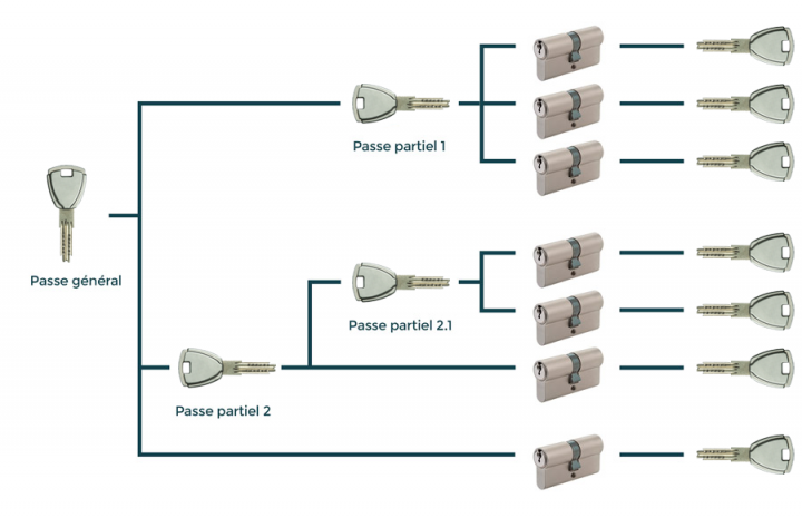 Organnigramme CLé